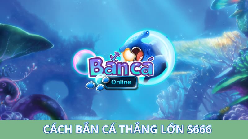 cach-ban-ca-thang-lon-anh-dai-dien